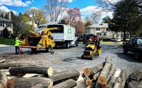  Hopelawn, NJ Tree Removal Pros