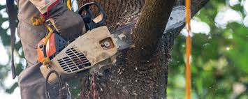 Best Aeration Services  in Hopelawn, NJ