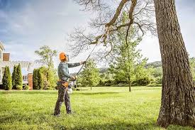 Lawn Renovation and Restoration in Hopelawn, NJ