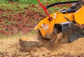 Best Lawn Irrigation Installation and Maintenance  in Hopelawn, NJ